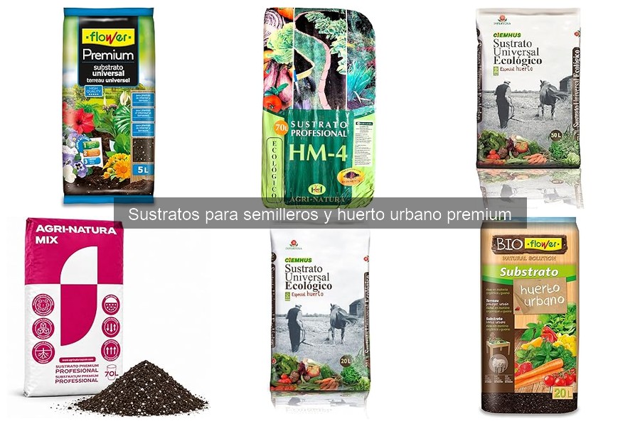 Problemas comunes con sustratos para semilleros y soluciones