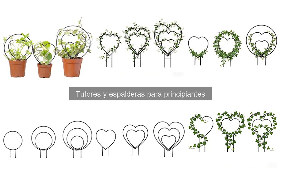 Problemas comunes con tutores y espalderas para principiantes