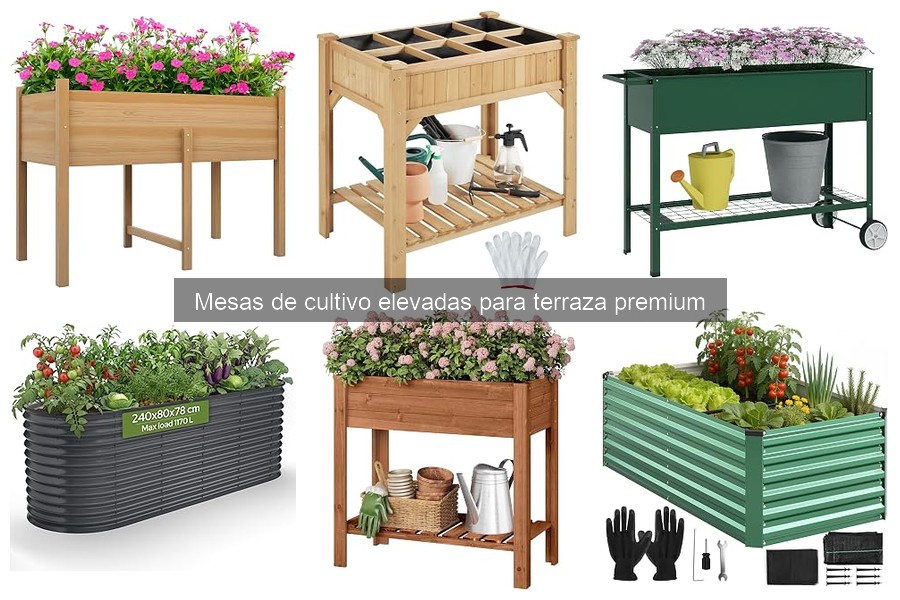 Problemas comunes de mesas de cultivo elevadas y soluciones