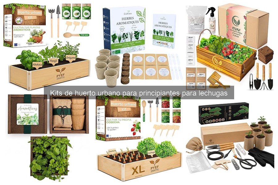 Problemas Comunes en Kits de Cultivo de Lechugas y Soluciones
