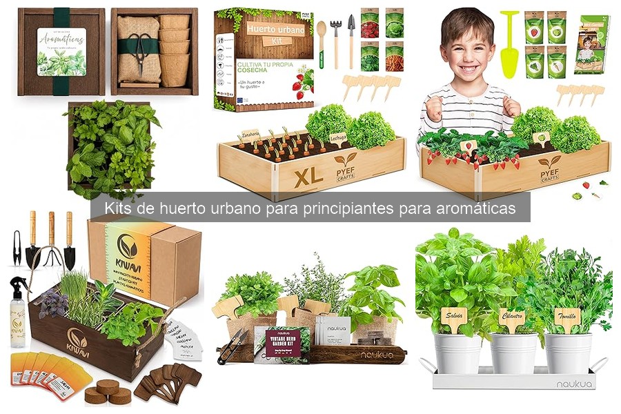 Problemas comunes en kits de huerto urbano y sus soluciones
