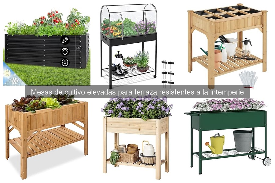 Problemas comunes en mesas de cultivo elevadas y soluciones