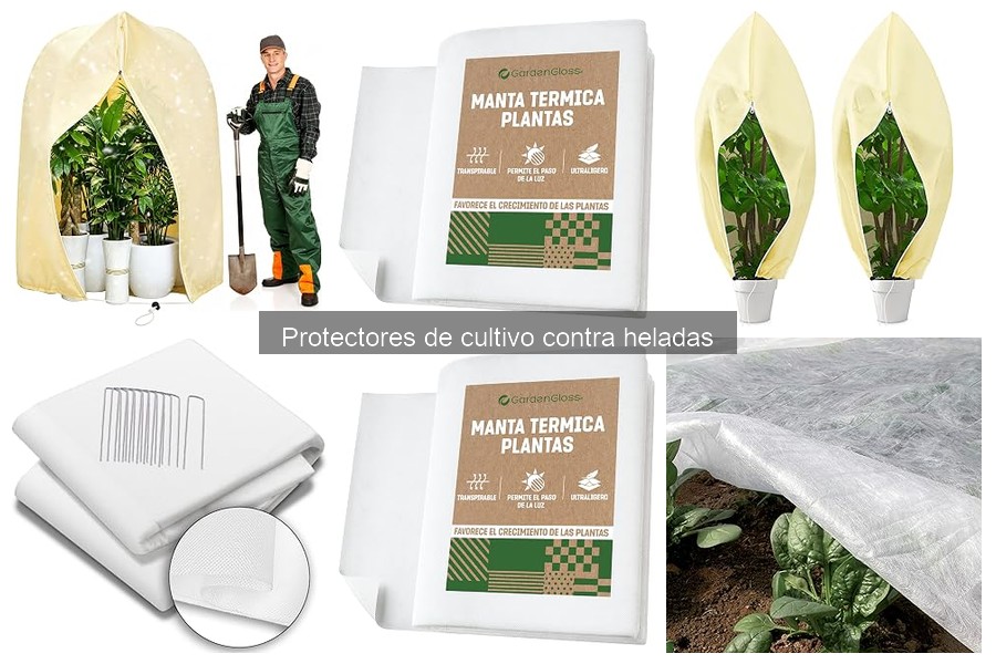 Protectores de Cultivo contra Heladas: ¿Qué son y cómo funcionan?