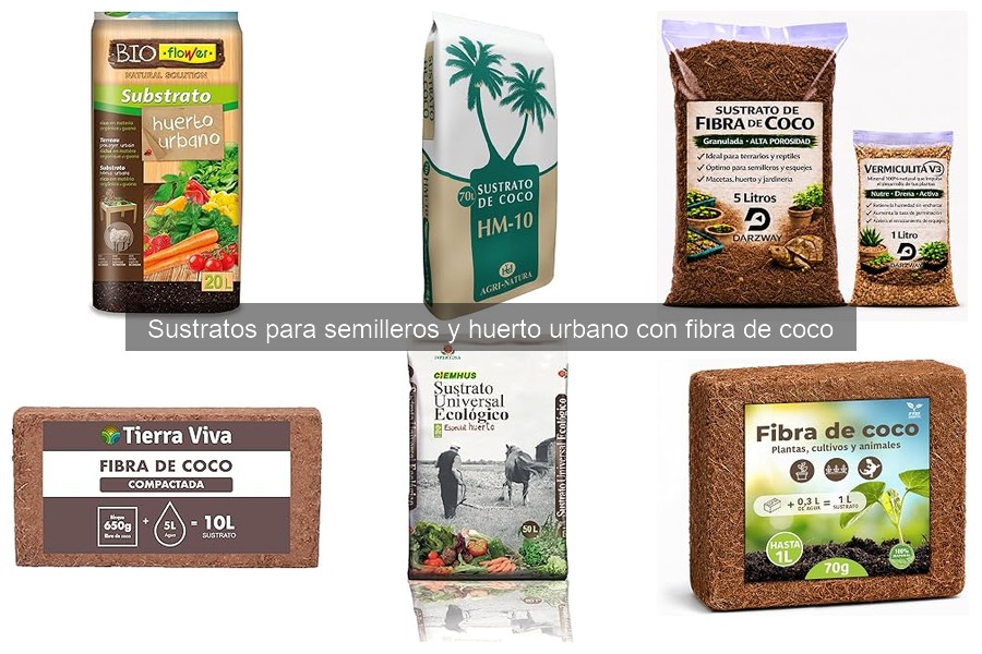 ¿Qué es la fibra de coco y sus beneficios para tu huerto urbano?
