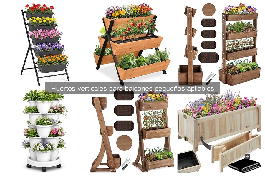 ¿Qué es un huerto vertical y cómo funciona? Guía sencilla