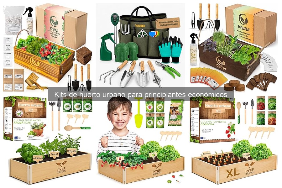 ¿Qué es un kit de huerto urbano para principiantes?