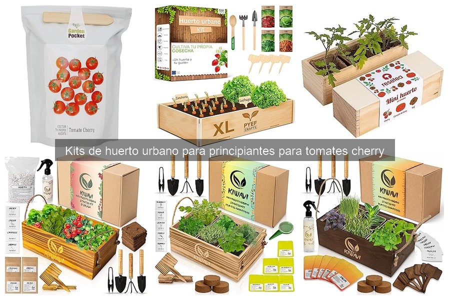 ¿Qué es un kit de huerto urbano para tomates cherry?