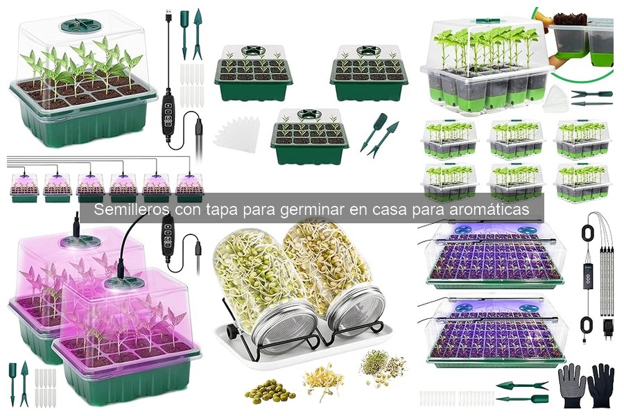 ¿Qué es un semillero con tapa y para qué se utiliza?