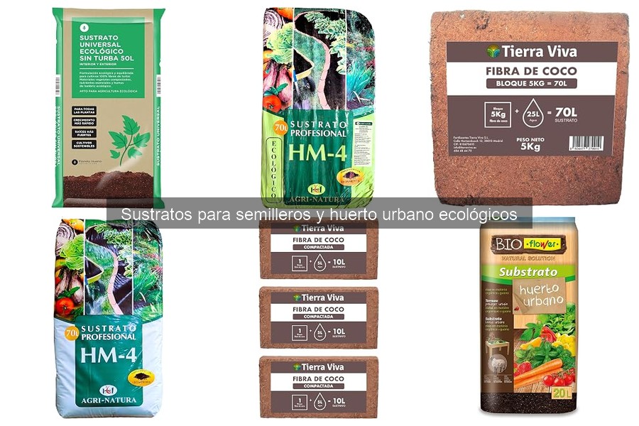 ¿Qué es un sustrato para semilleros? Características esenciales