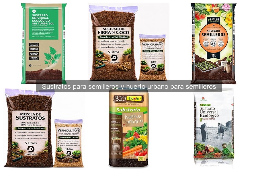 ¿Qué es un sustrato para semilleros y su importancia?
