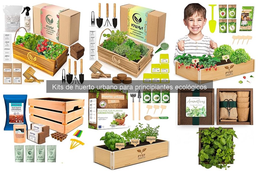 ¿Qué incluye un kit de huerto urbano ecológico para principiantes?