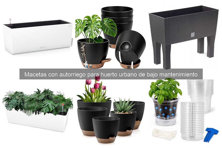 ¿Qué son las macetas con autorriego y cómo funcionan?