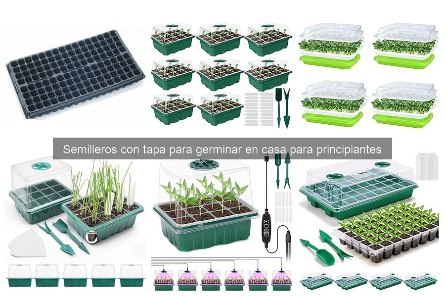 ¿Qué son los semilleros con tapa y cómo funcionan?