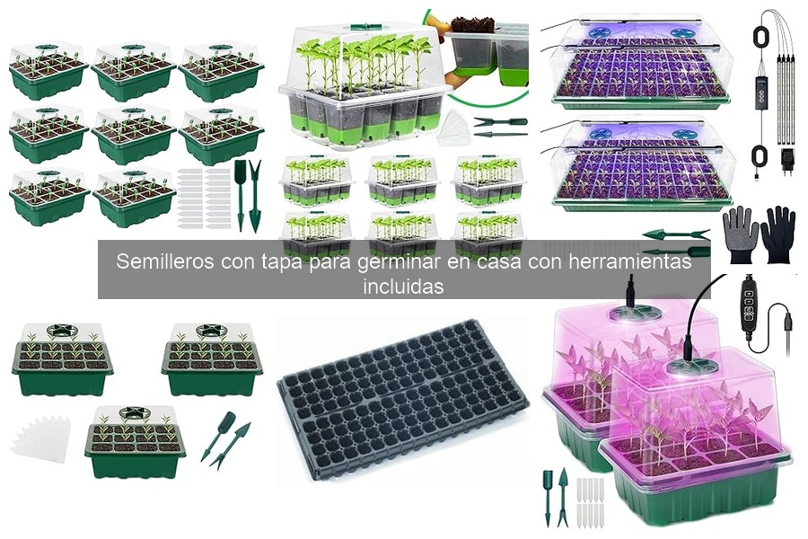 ¿Qué son los semilleros con tapa y sus beneficios?