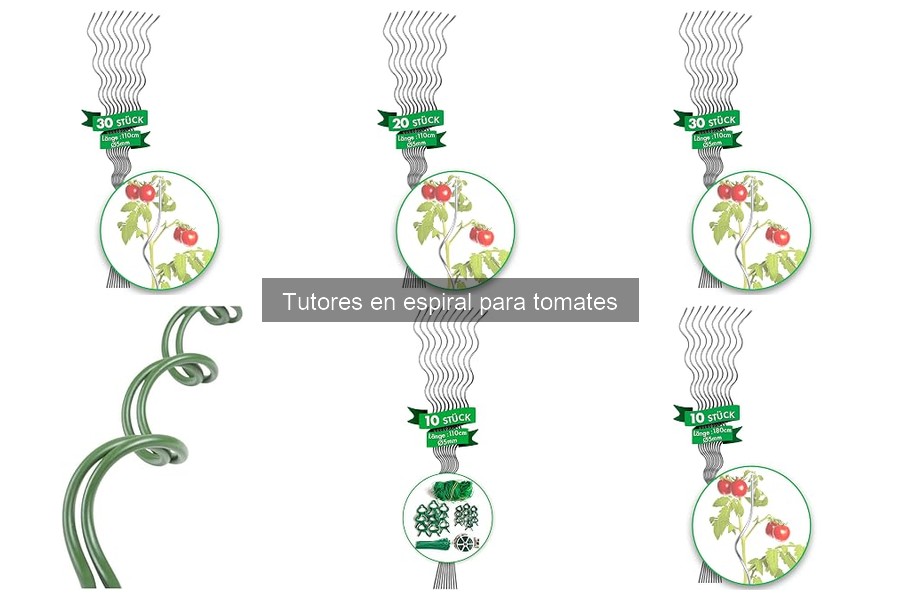¿Qué son los tutores en espiral para tomates y cómo funcionan?