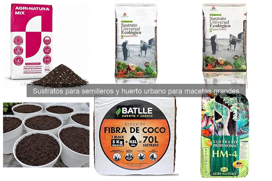 ¿Qué sustrato elegir para semilleros en huertos urbanos?