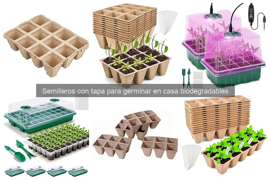 Semilleros con tapa biodegradables: ¿Qué son y beneficios?