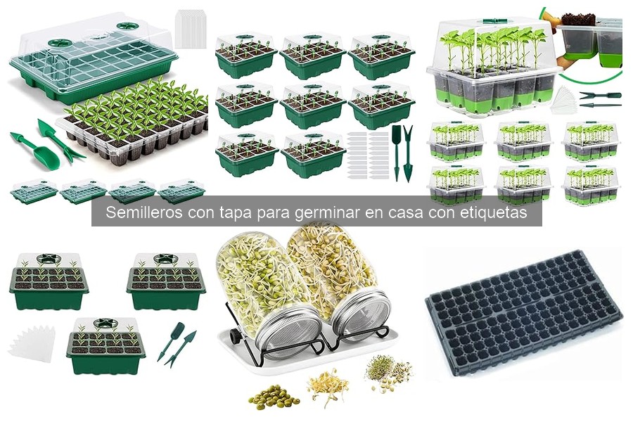 Semilleros con tapa: ¿Qué son y cómo funcionan?