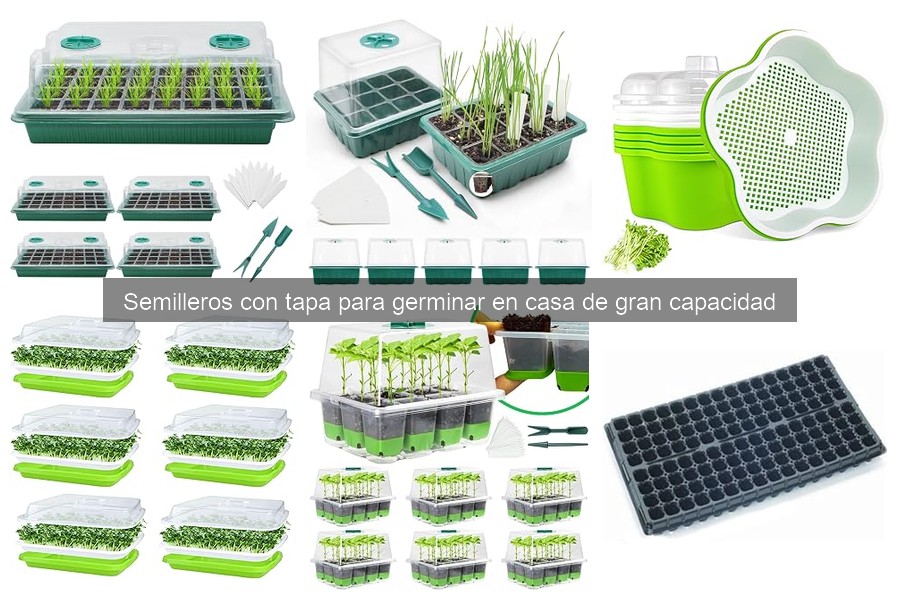 Semilleros con Tapa: ¿Qué son y cómo germinar en casa?