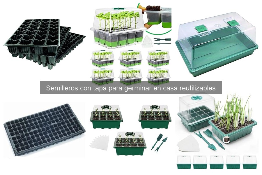 Semilleros con tapa reutilizables: ¿Qué son y cómo funcionan?
