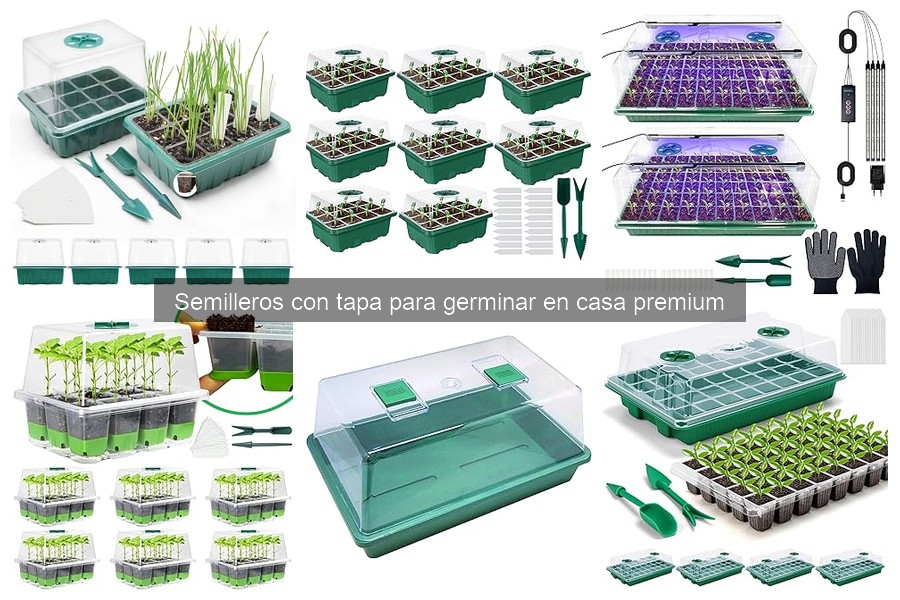 Semilleros con tapa: ventajas para germinar en casa