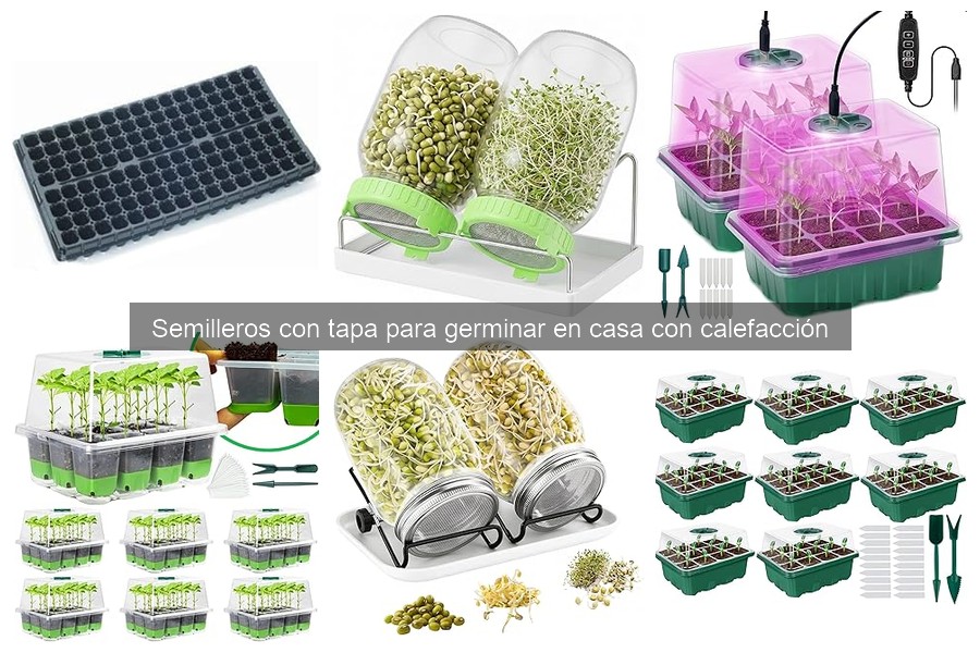 Semilleros con tapa y calefacción: ¿Qué son y cómo funcionan?