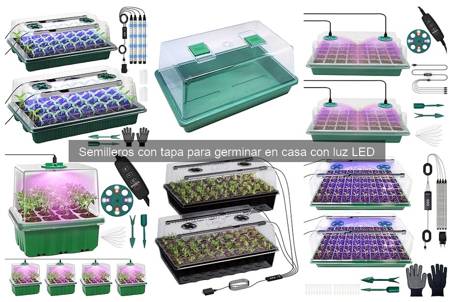 Semilleros con tapa y luz LED: ¿Qué son y sus beneficios?