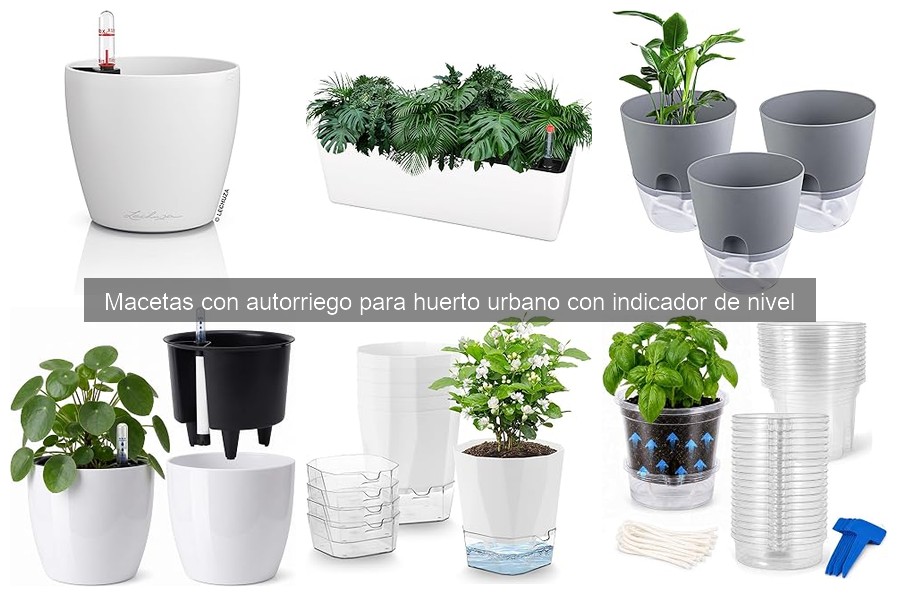 Solucionando problemas comunes con macetas de autorriego