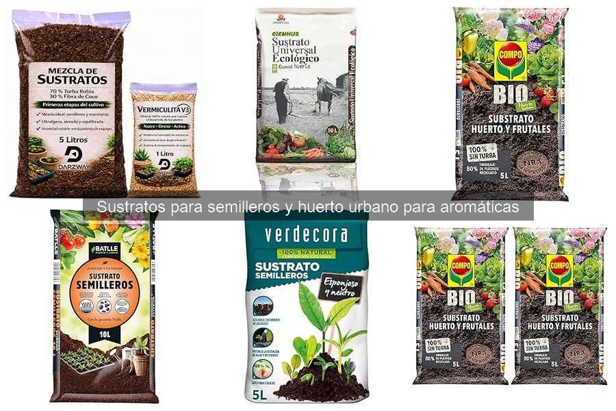 Sustratos ideales para semilleros de hierbas aromáticas