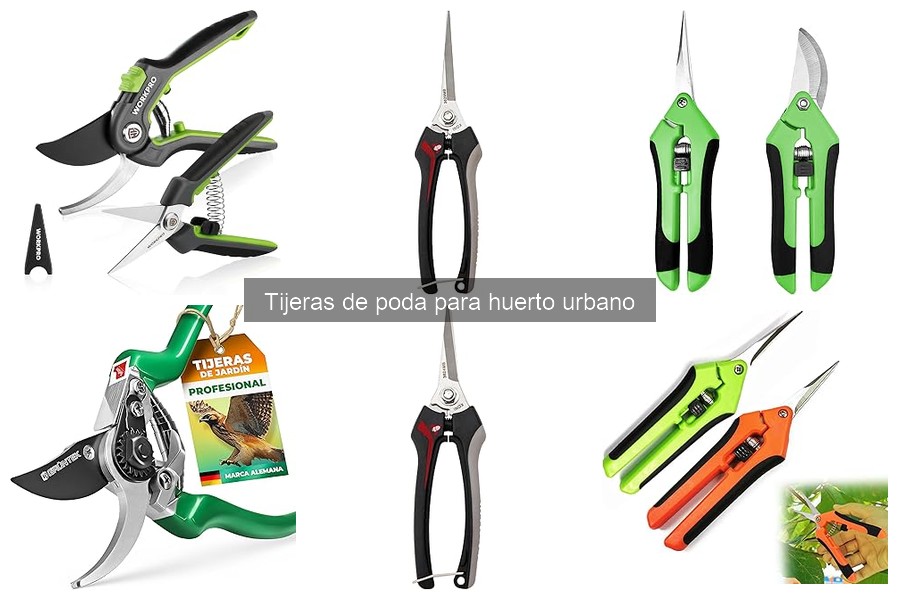Tijeras de poda: ¿Qué son y cómo se usan en huertos urbanos?