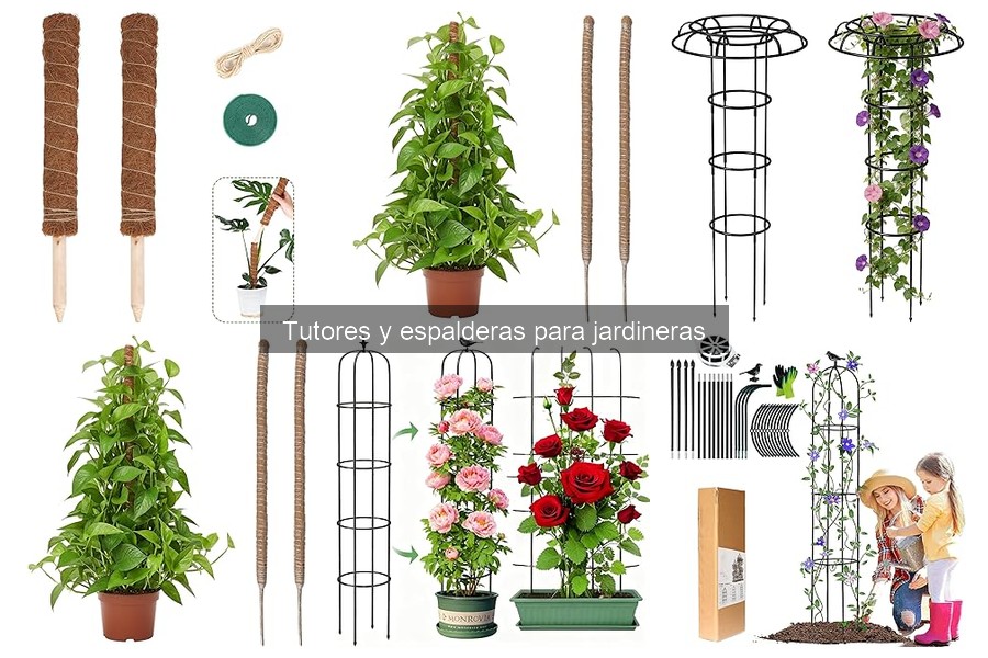 Tipos de tutores y espalderas para jardineras en 2026
