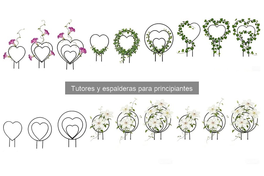 Tipos de tutores y espalderas para principiantes en jardinería