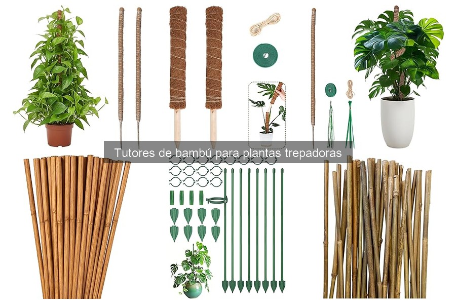 Tutores de bambú: ¿Qué son y para qué se utilizan?