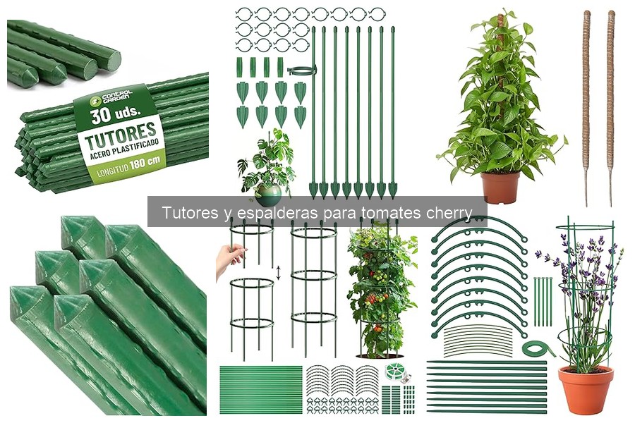 Tutores y espalderas para tomates cherry: ¿qué son y cómo elegir?