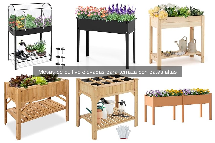 Ventajas de las Mesas de Cultivo Elevadas para Terrazas