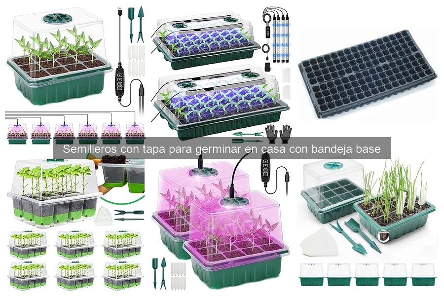 Ventajas de usar semilleros con tapa para germinar en casa