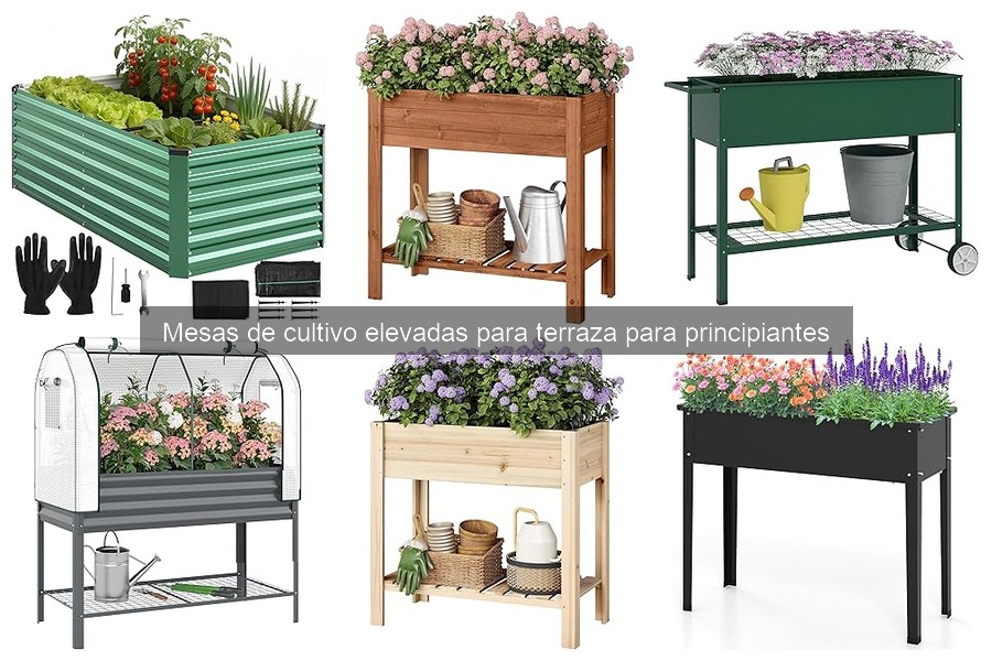 Ventajas y desventajas de mesas de cultivo elevadas
