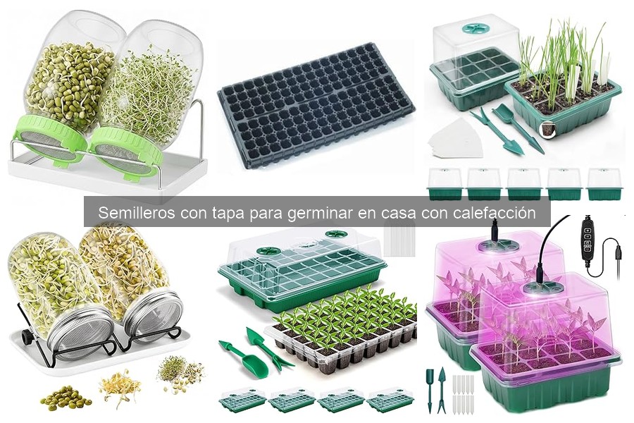 Ventajas y desventajas de semilleros con calefacción