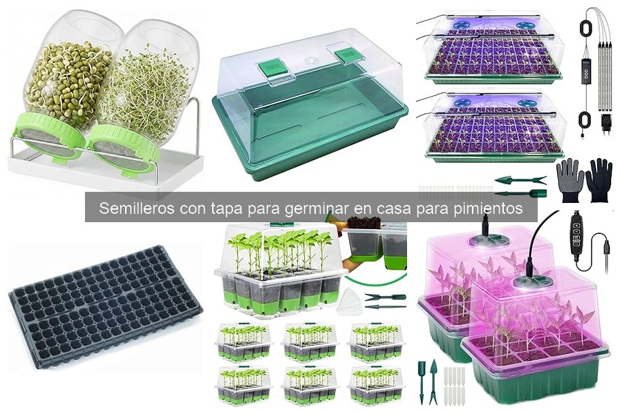 Ventajas y desventajas de semilleros con tapa para pimientos