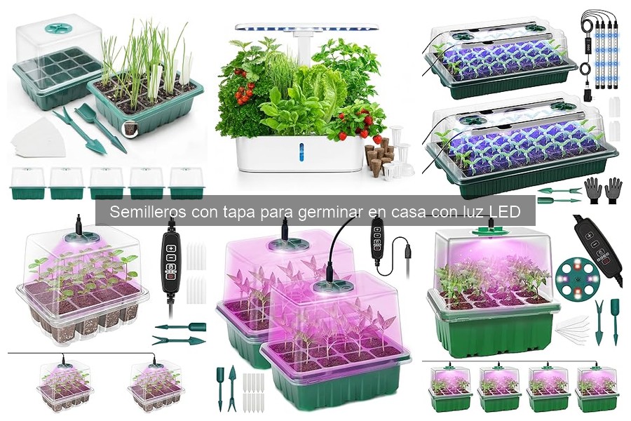 ** Ventajas y Desventajas de Semilleros con Tapa y Luz LED