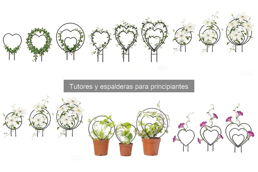 Ventajas y desventajas de tutores y espalderas para cultivar